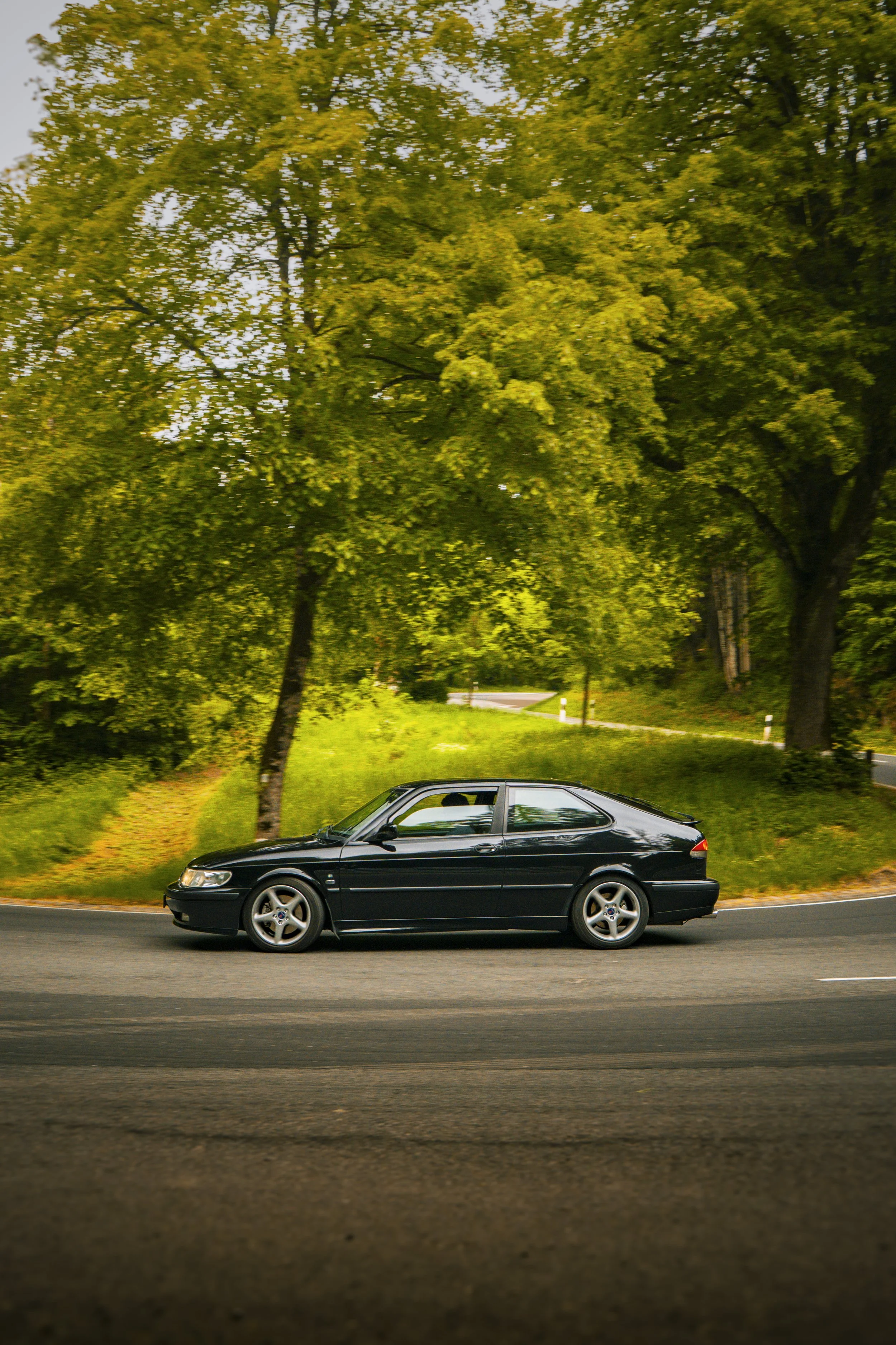 HF_08270.jpg