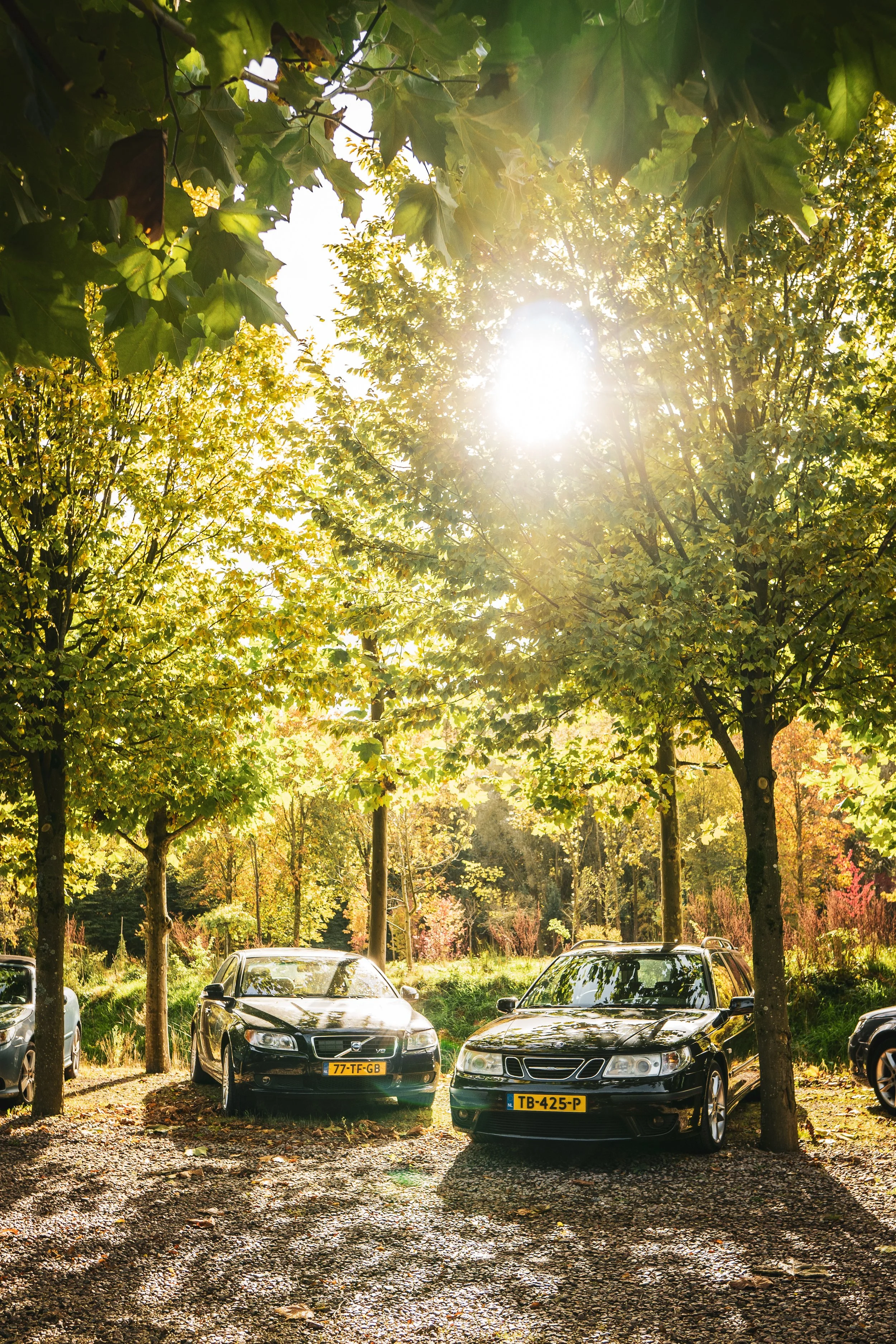 Automotive Omehuug 16