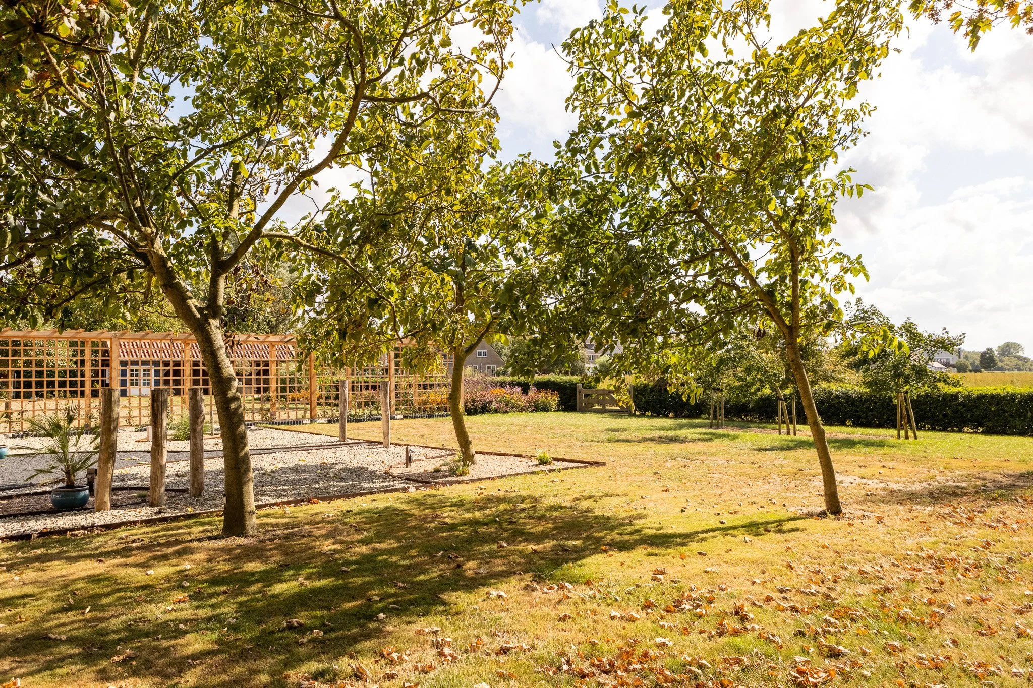 1H3A0739-HDR.jpg