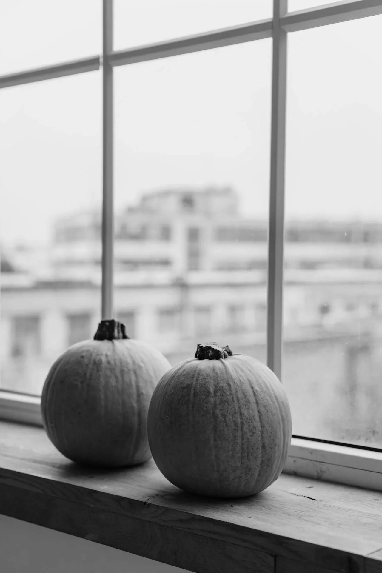 Journée d’automne à la maison : idées cocooning et plaisirs simples
