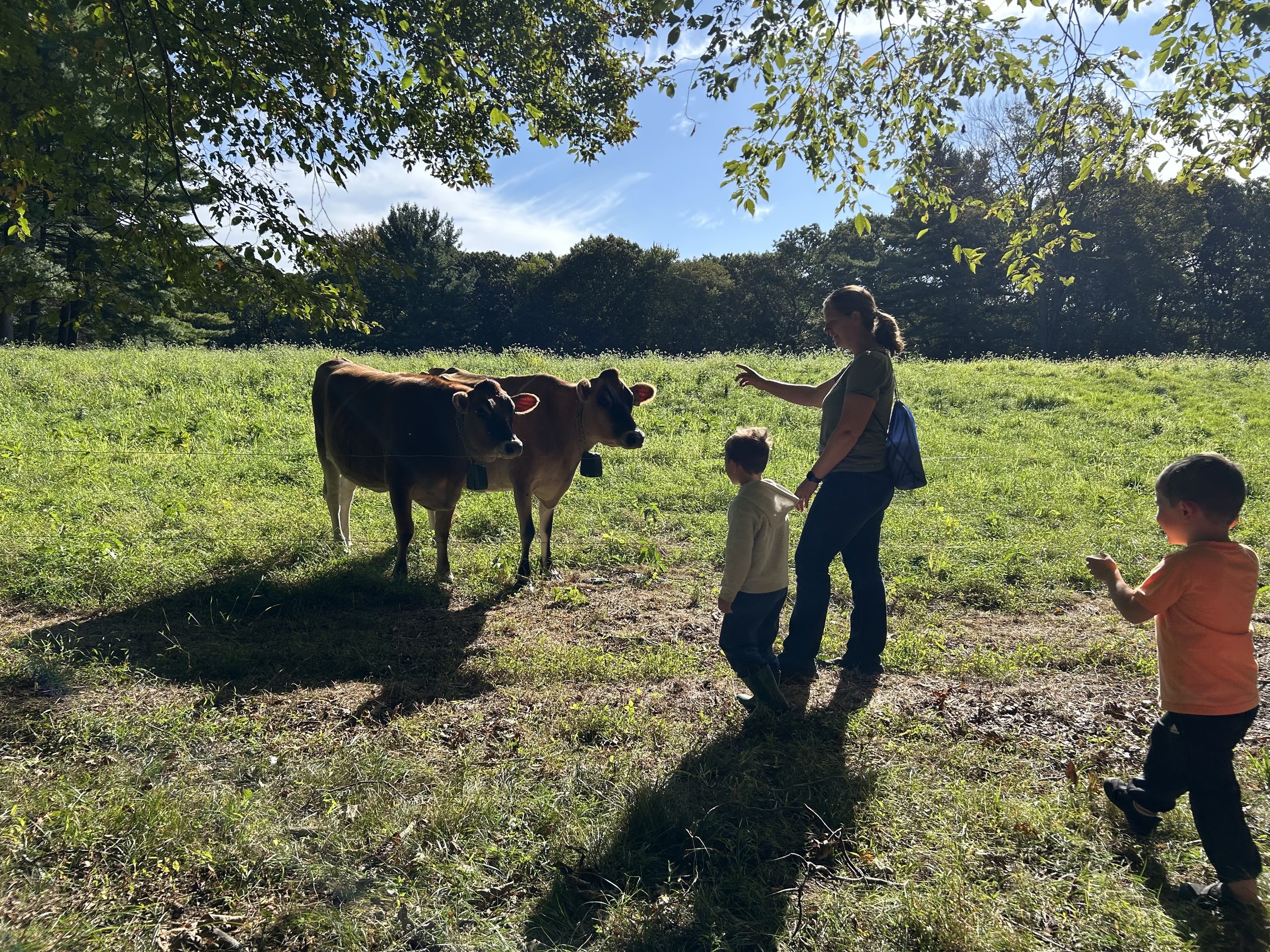Outdoor Children's Classes with Farm and Forest Education Center, Little Acorns Session 2 on Mondays