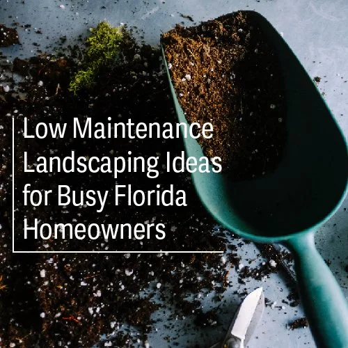 Low-maintenence-landscaping-cover-01.jpg