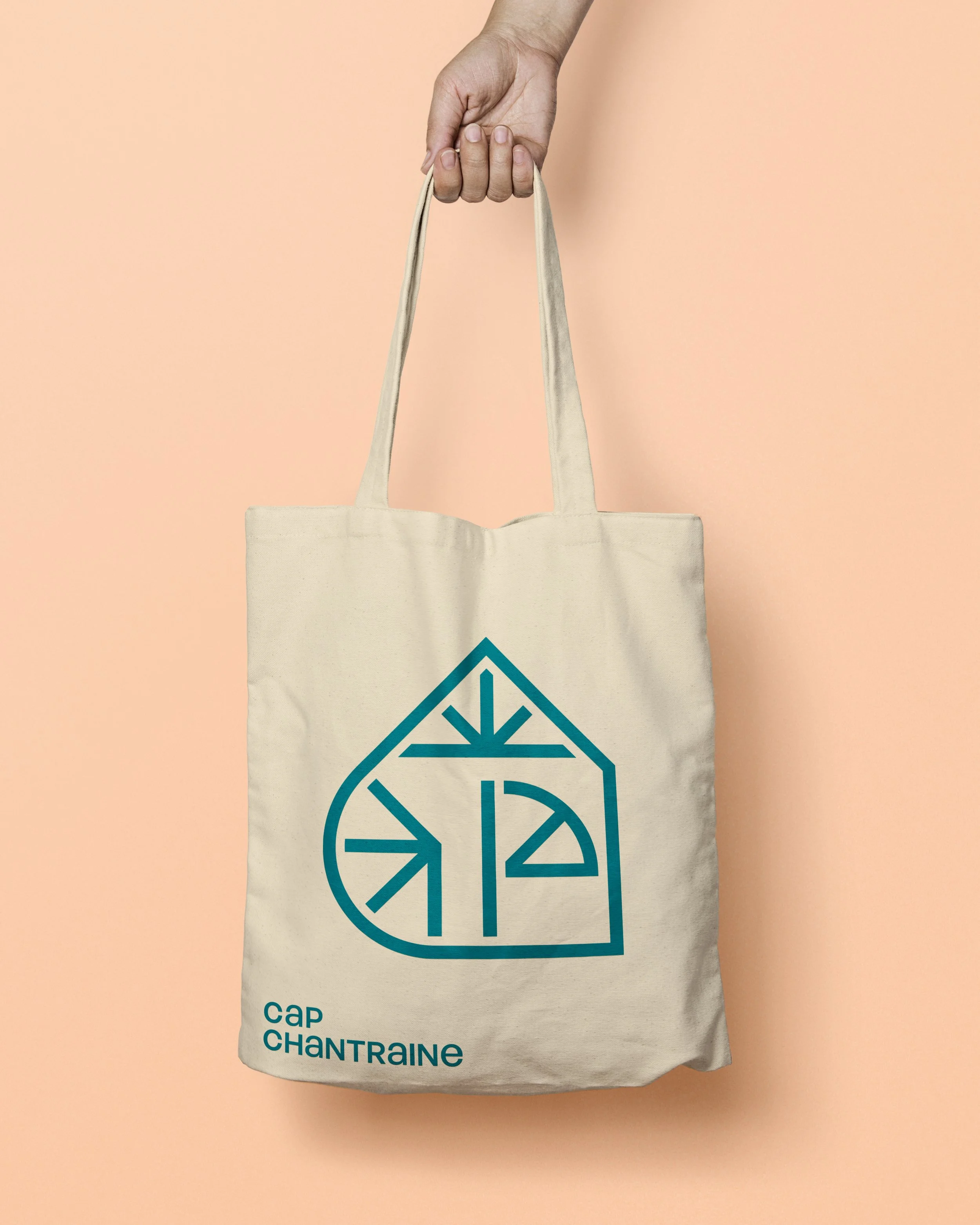 Proposition-B-totebag-2.jpg