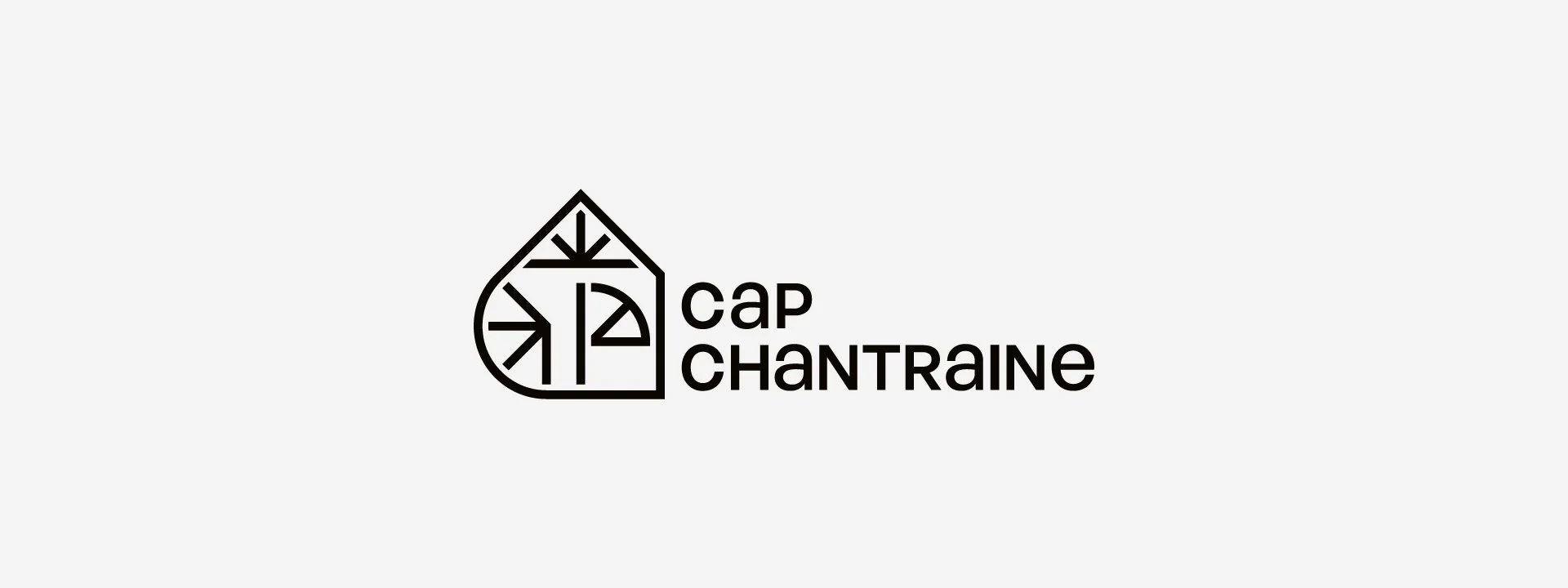 CAP_logo_1.jpg