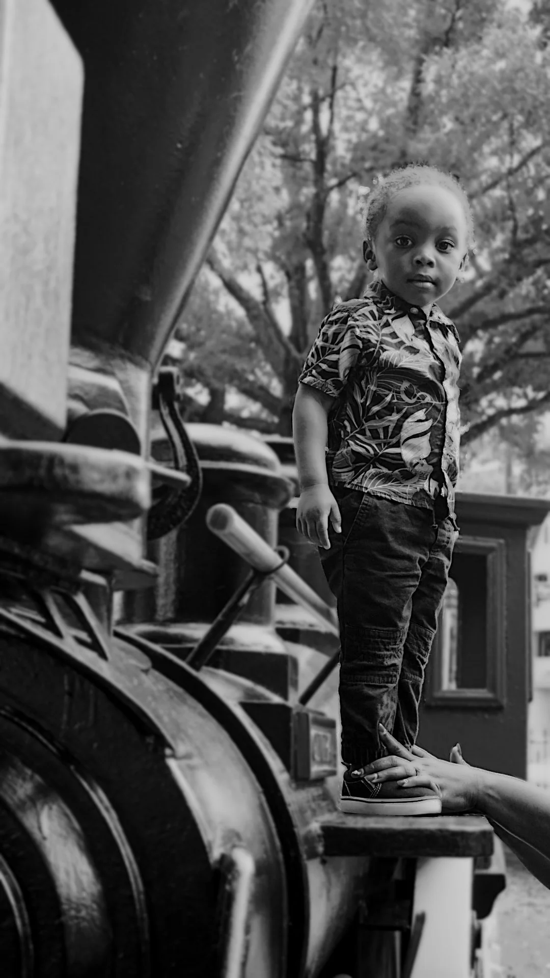 Still 2024-09-30 024356_1.1.1.jpg