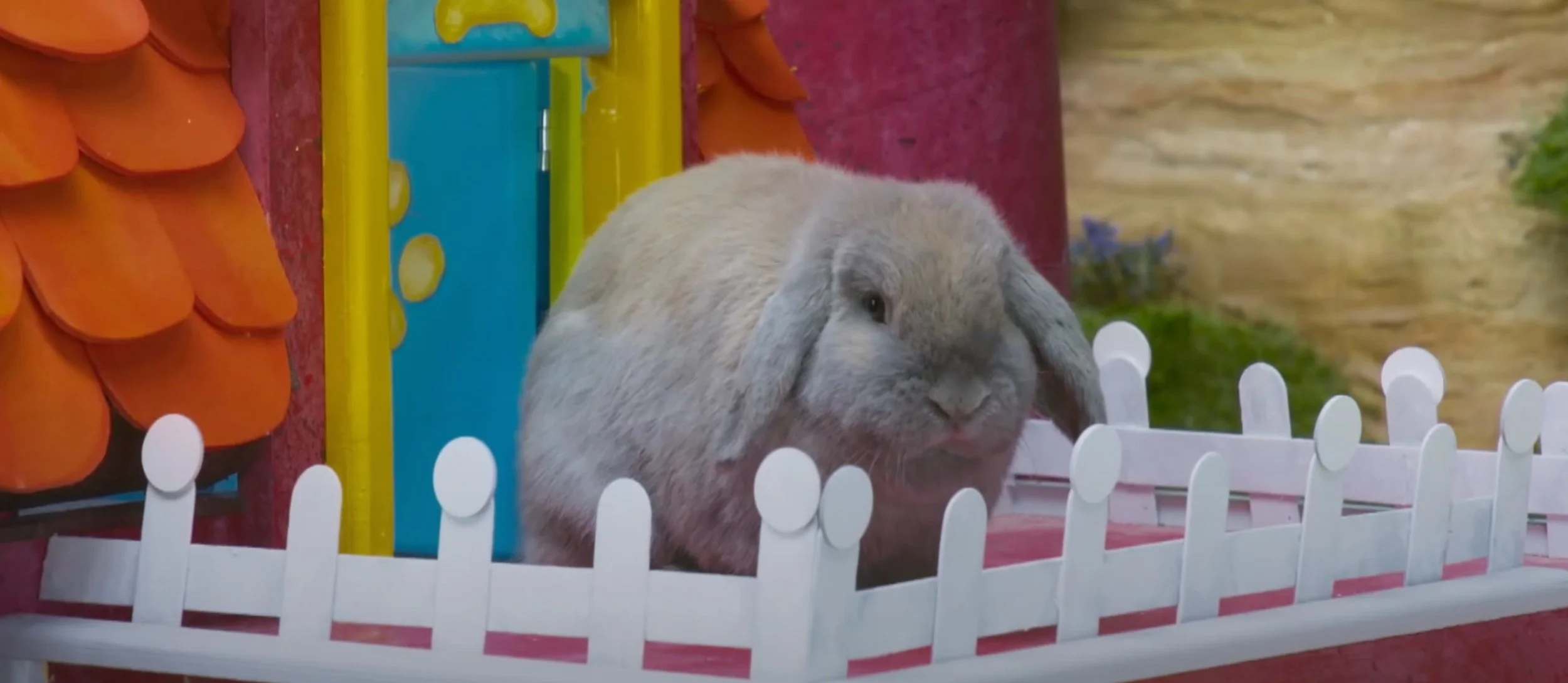 Screen Shot 2023-05-07 at 11.07.50 PM.JPEG