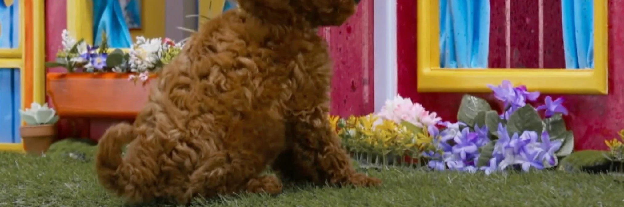 Screen Shot 2023-05-07 at 11.08.09 PM.JPEG