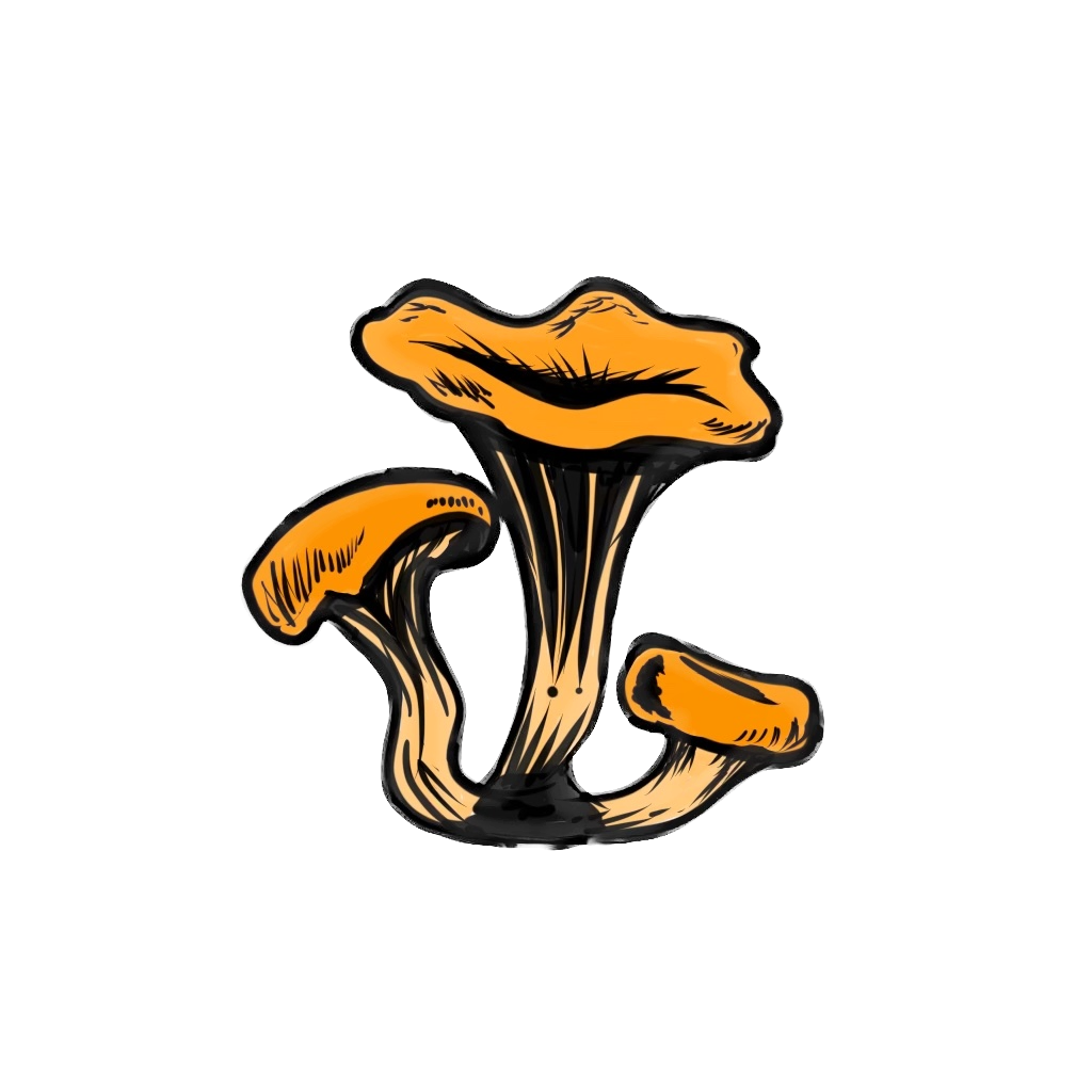 champignon.io