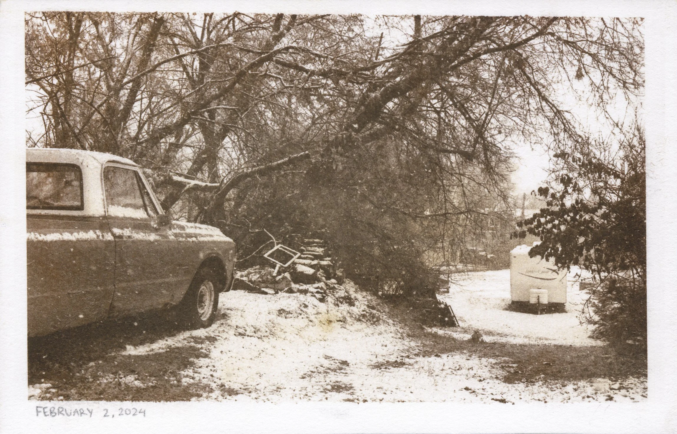 VanDyke Brown (2024)