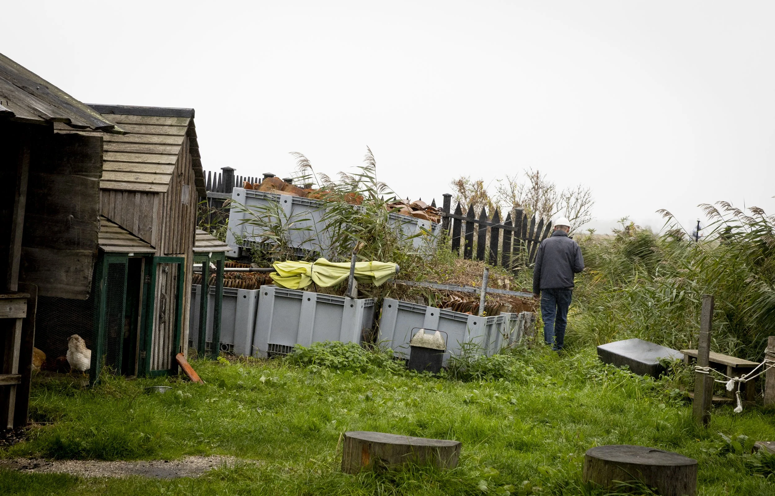 Zaanse Schans, Netherlands #4 (2025)