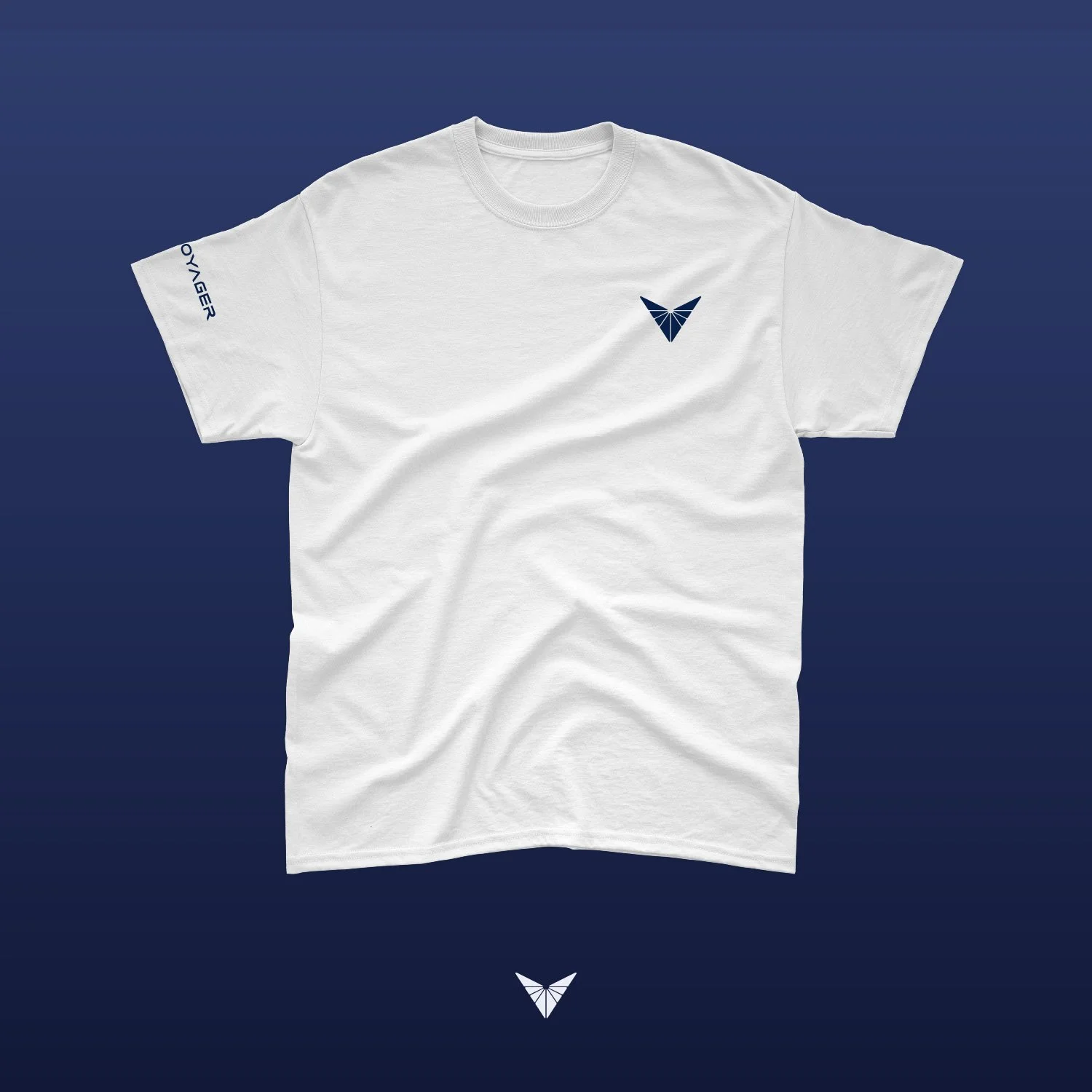 SD_VoyagerArtboard 32-80.jpg