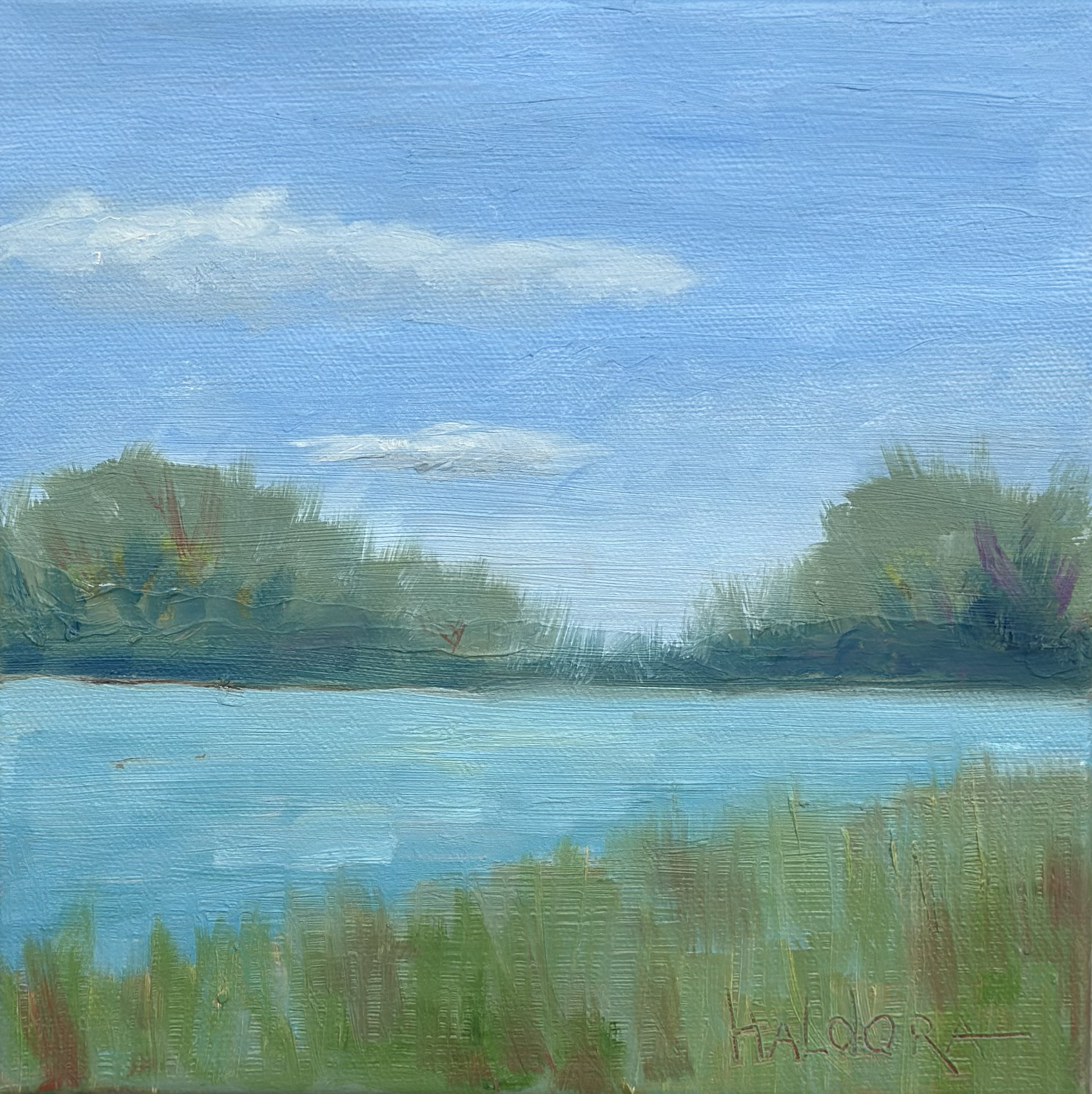 "Natures Preserve". -  Oil. -  8" x 8"    Available at Macdonald Marketplace, St Helena Island, SC