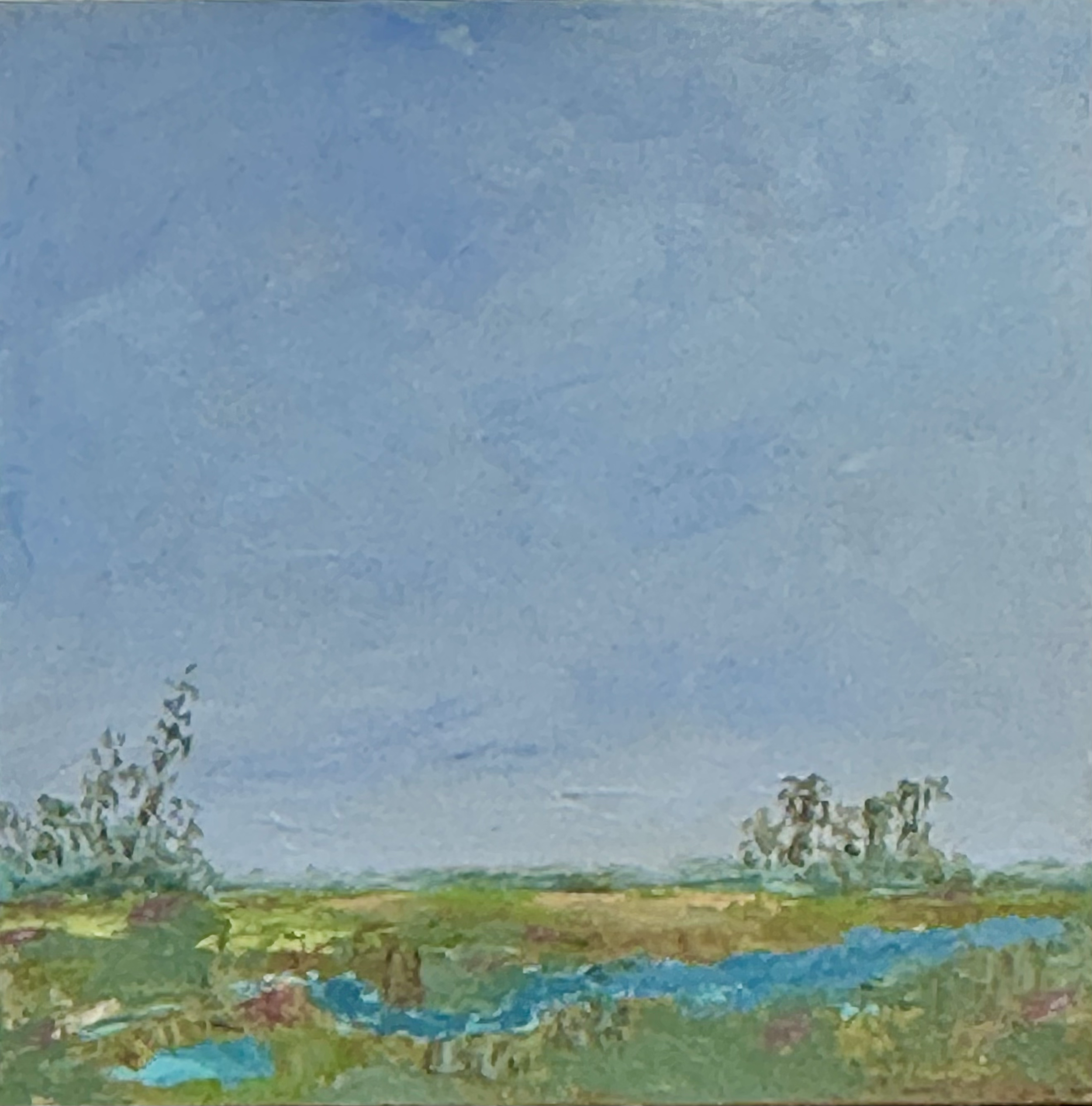 " Whisper of Spring"  -  Oil. -  20" x 20"