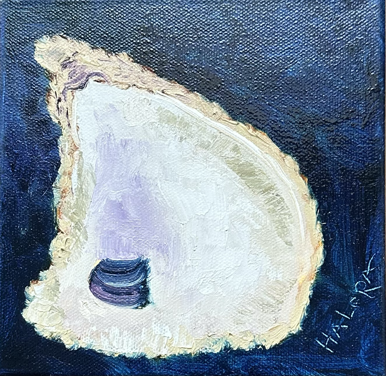 "Single Shell on Blue"  -  6" x 6"  -  Oil - SOLD