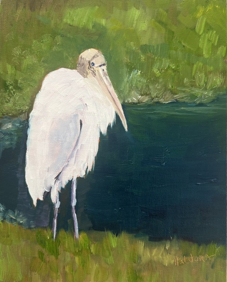 "Wood Stork"  -  Oil  -  8" x 10"