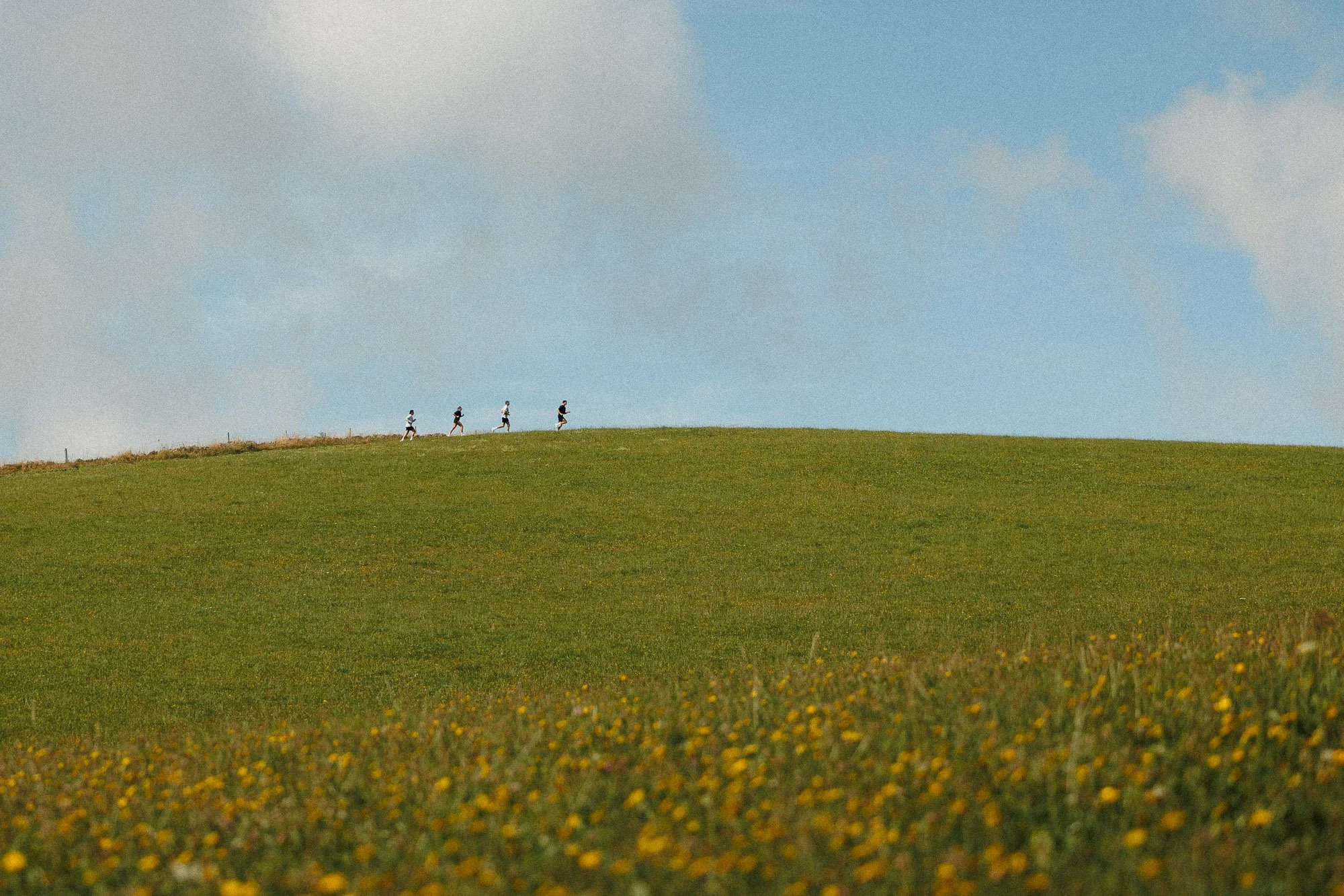 25-09 Lavender Run Campain-26.jpg