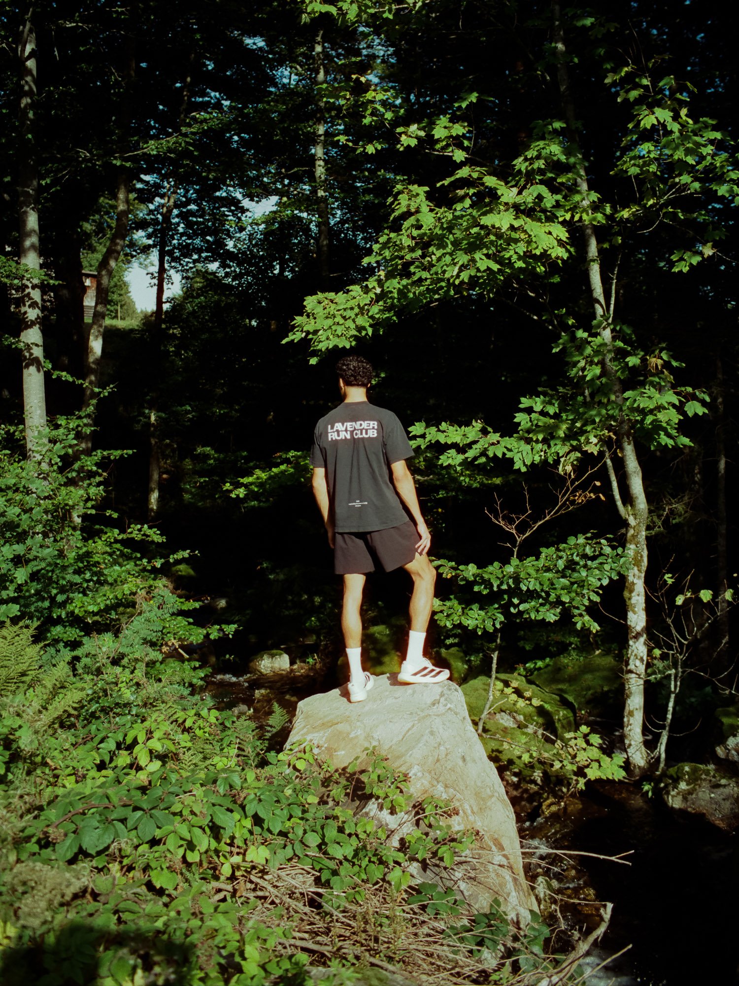 25-09 Lavender Run Campaing Analog-3.jpg