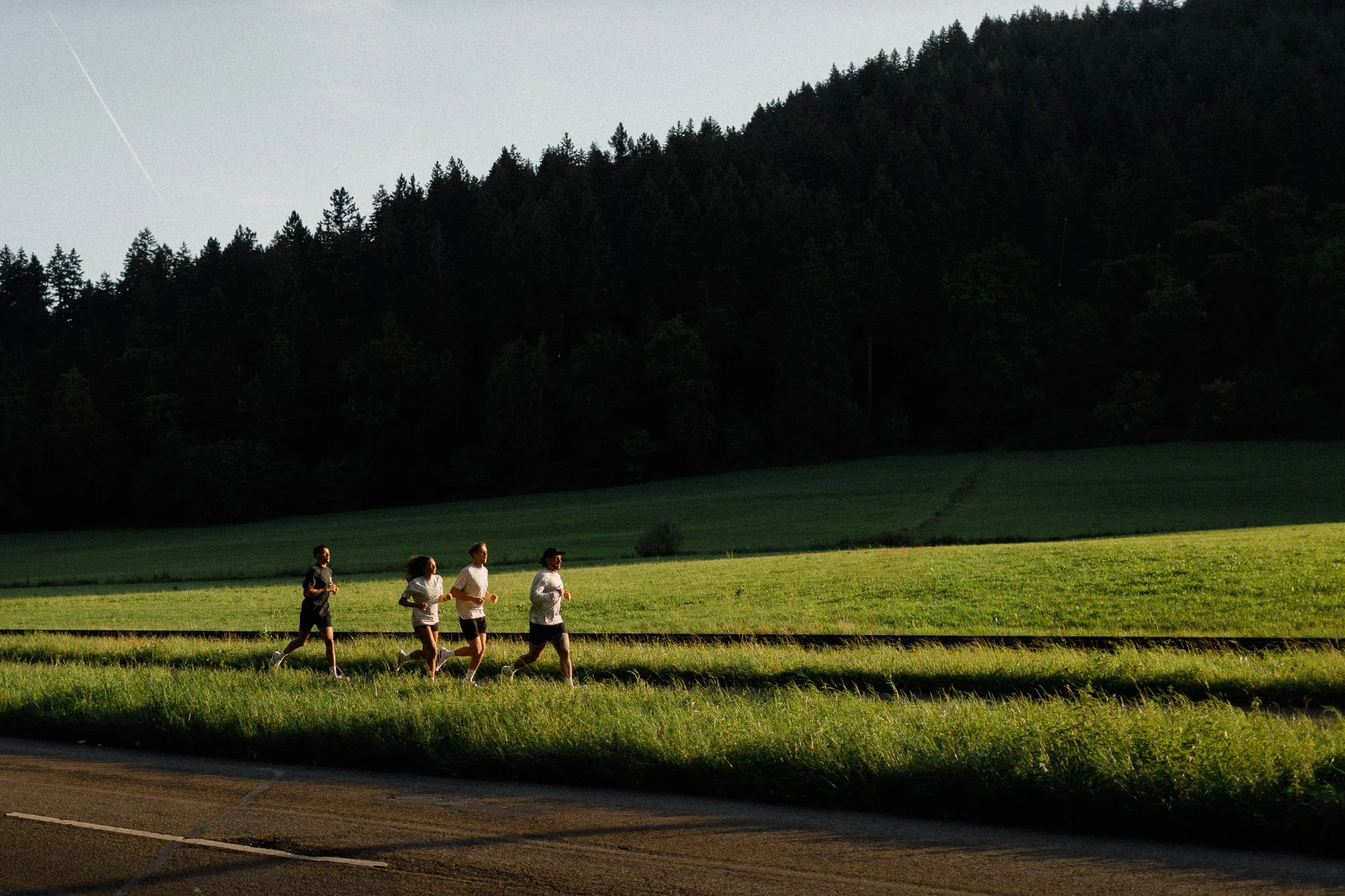 25-09 Lavender Run Campain-1.jpg
