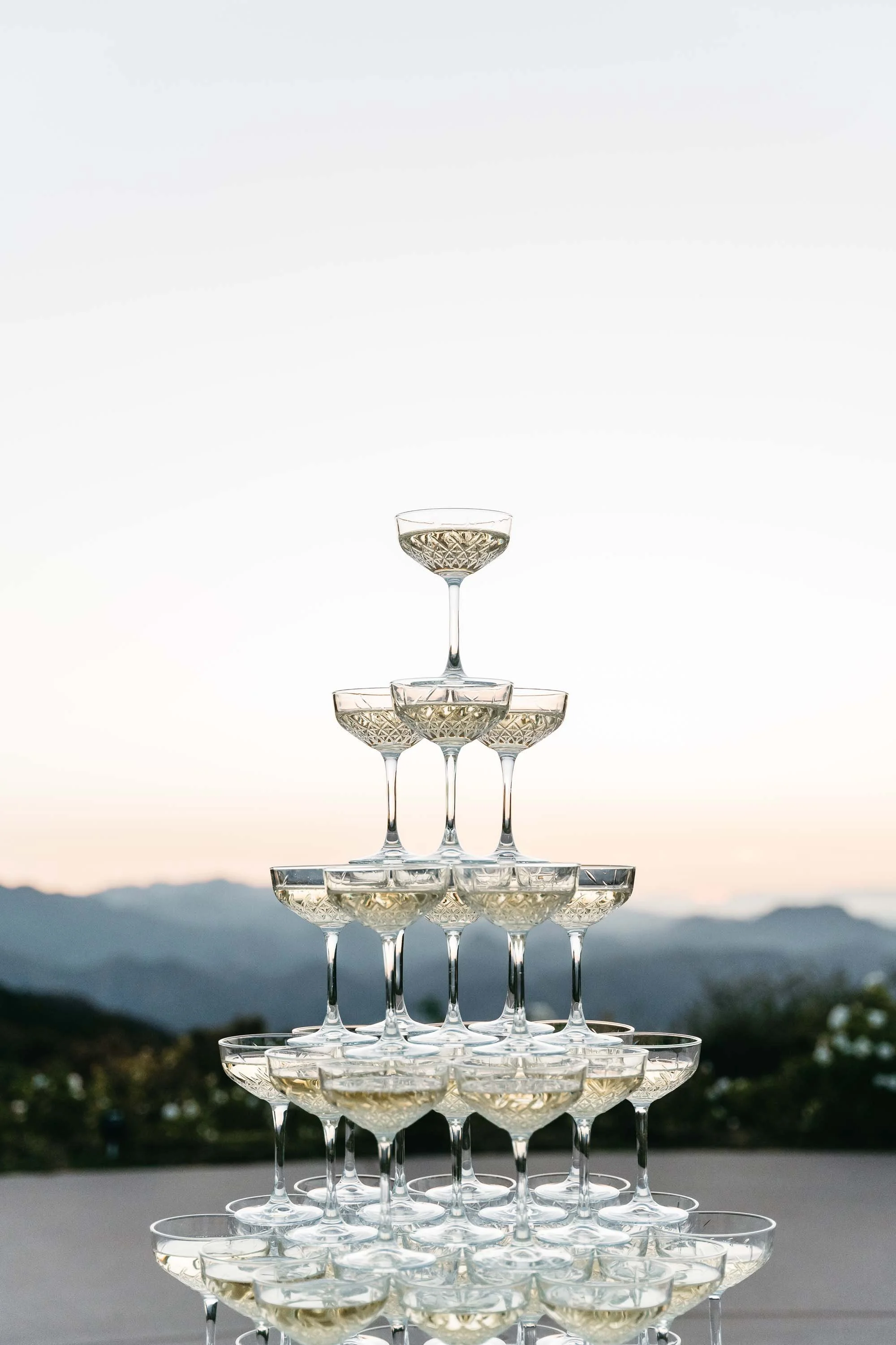 Stone Mountain Estates Wedding - French Toast Towers Champagne Toast Celebration 0 (1).jpg