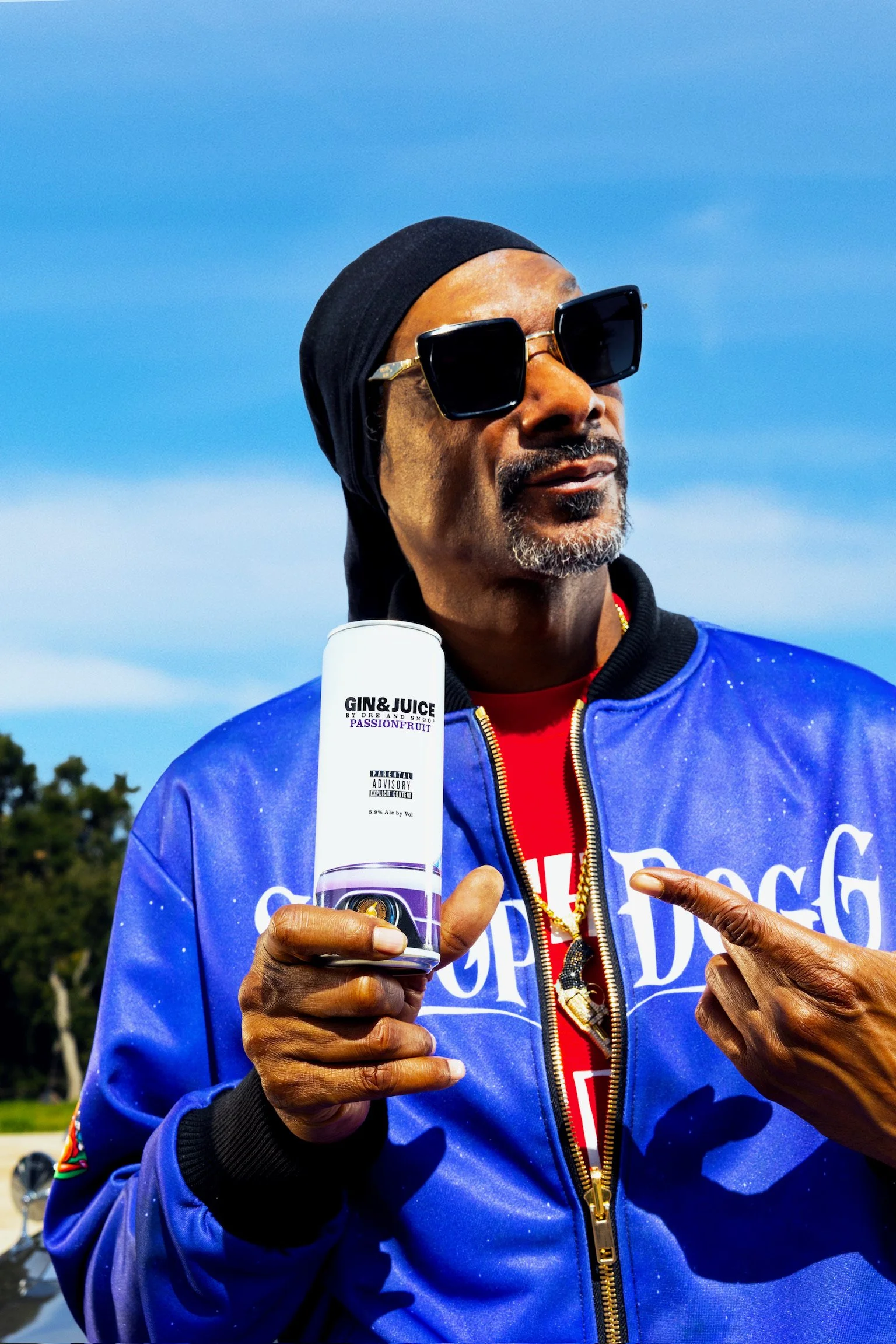 Gin & Juice by Dre & Snoop — Fortitude Spirits Group