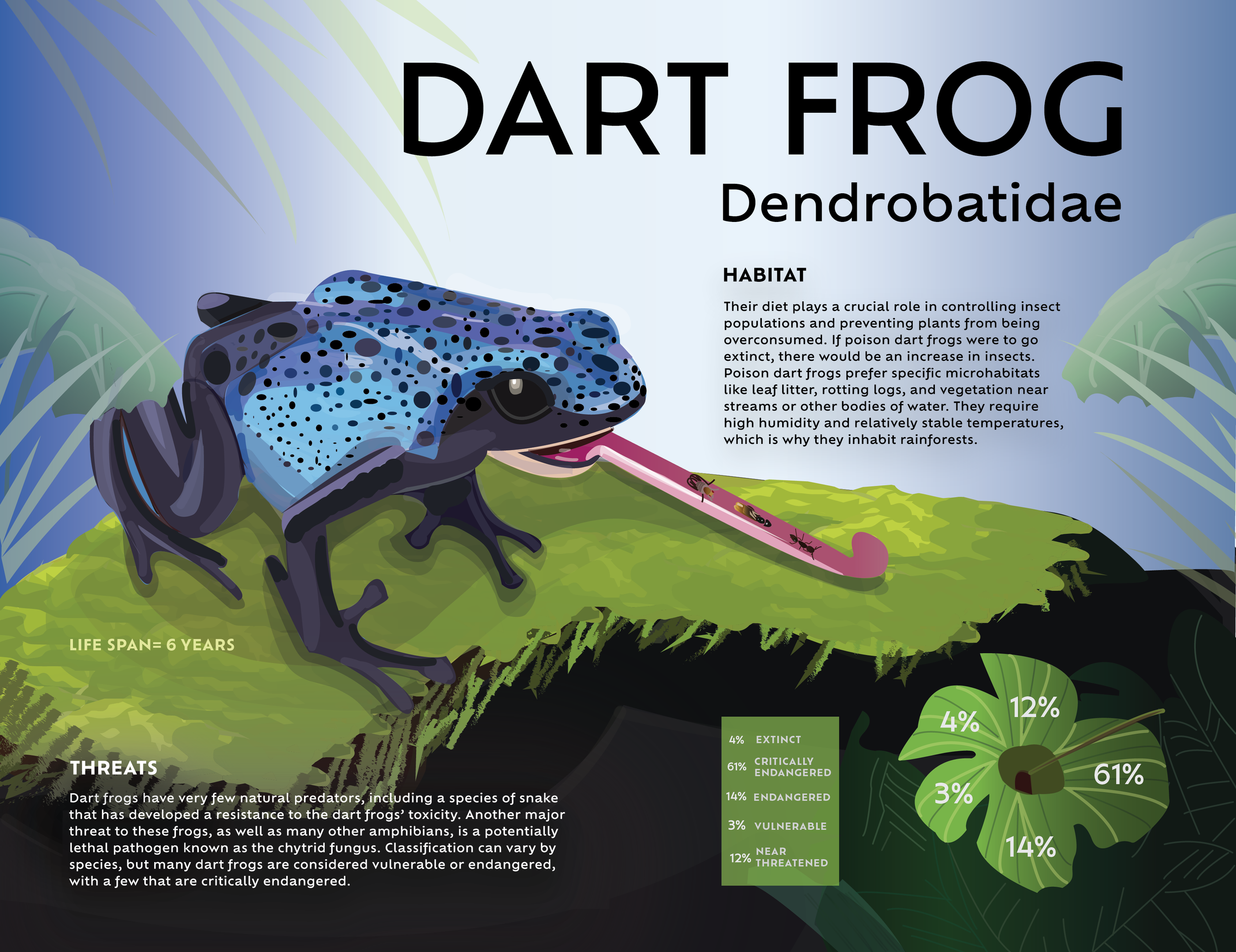 dart frog drawingfinalrevised_bmh52.png