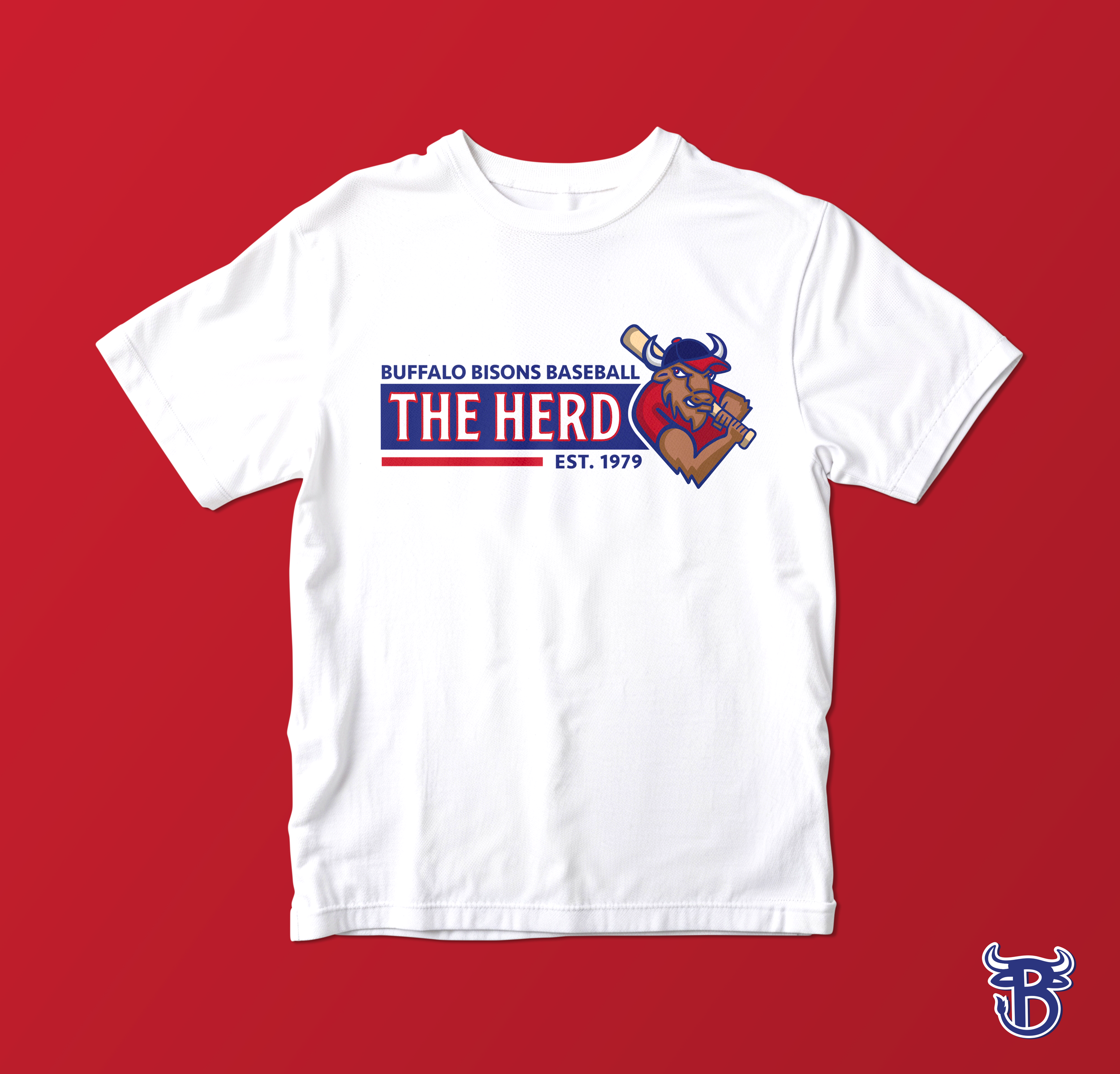 BB T-SHIRT TOSS.png