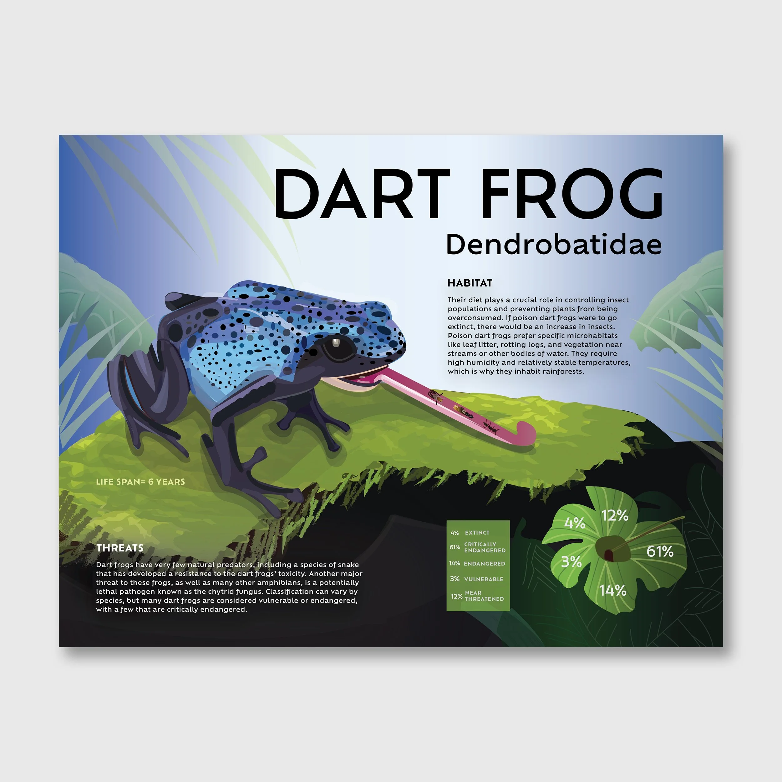 Dart Frog Infographic