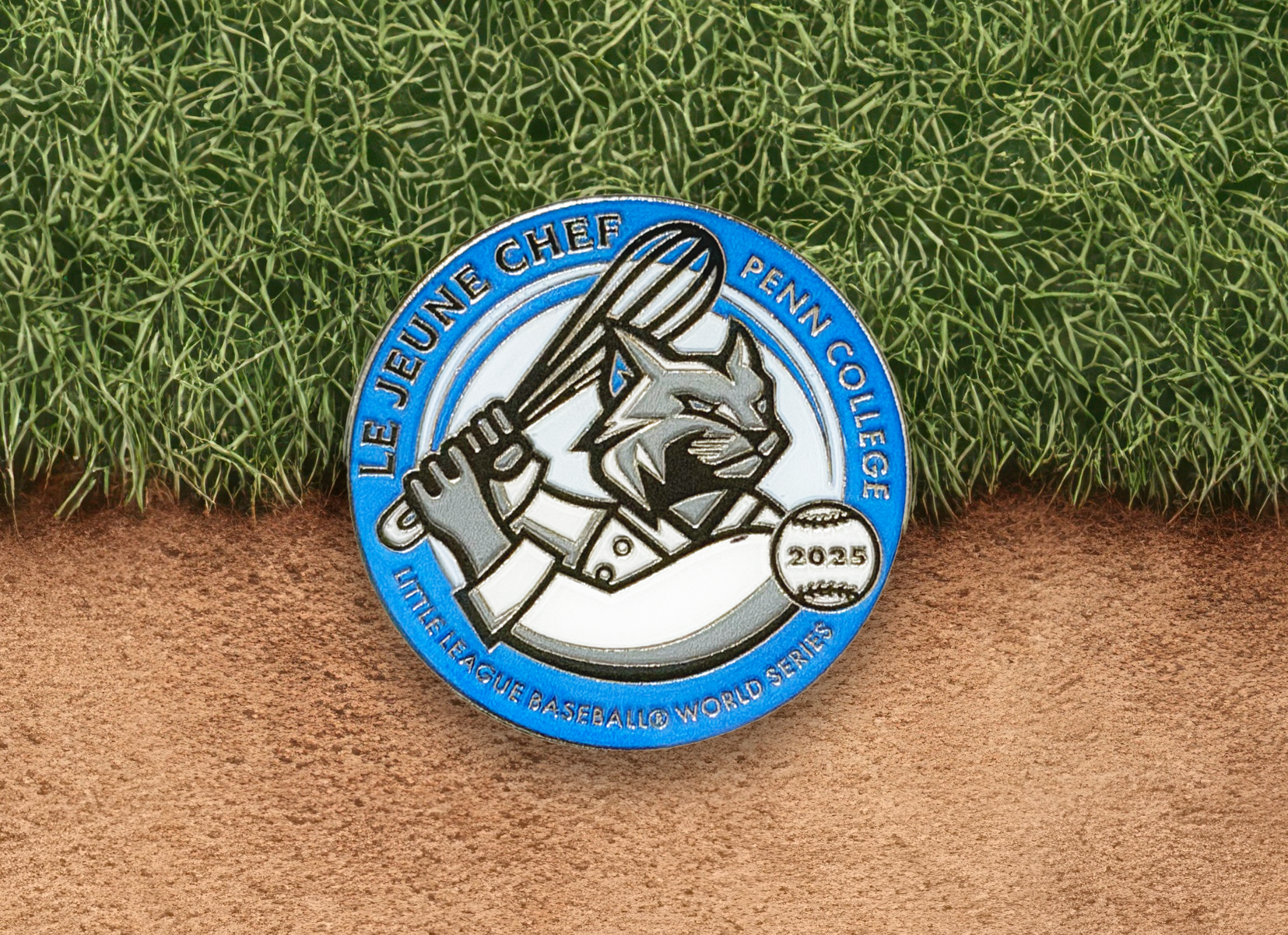 baseball fied pin.png