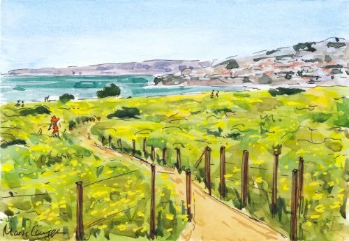 Dana Point Headlands Conservation Trails in Watercolor &amp; Ink