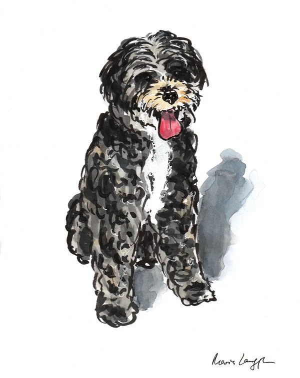 Watercolor painting of a black and white fluffy dog sitting with tongue out and shadow behind on white background.