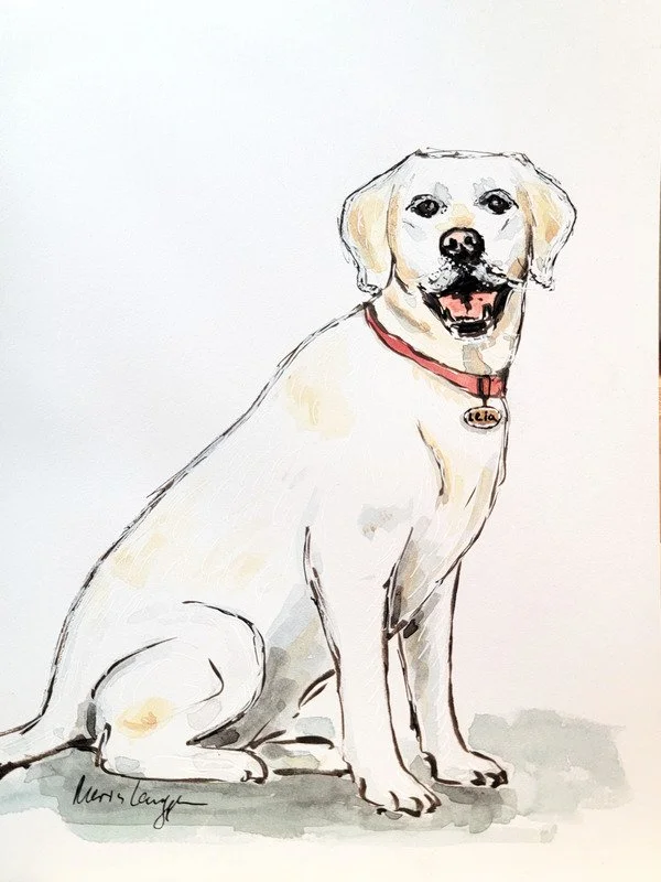 Illustration of a happy yellow Labrador Retriever sitting on a light gray surface, wearing a red collar with a tag. The background is plain white.
