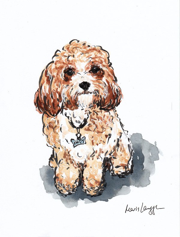 Watercolor painting of a cute, fluffy brown and white puppy with a collar and name tag, sitting on a gray shadow.