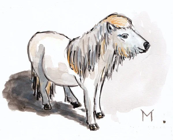 Watercolor painting of a small dog with long ears and a fluffy coat, standing on a shadowed surface.