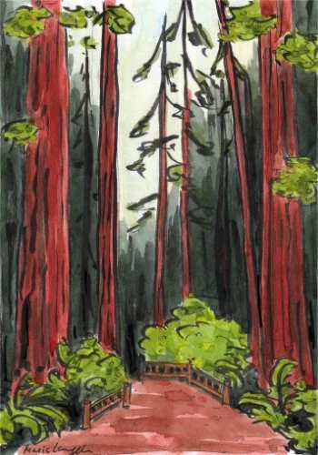 Watercolor painting of a forest scene with tall, red-barked trees, green foliage, and a wooden pathway.
