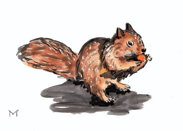 Watercolor illustration of a squirrel holding an acorn in its mouth.