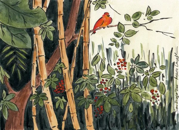 Watercolor painting of a small red bird perched on a branch among green leaves and red berries, with tall plants and bamboo stalks in the background.