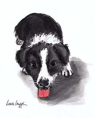 Drawing of a black and white puppy with its tongue out, looking directly forward.