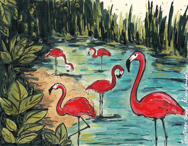 Four pink flamingos standing by a pond, surrounded by greenery and tall reeds.