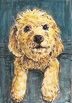 Watercolor painting of a fluffy, tan-colored dog with a black nose and dark eyes, standing on a wooden floor with a blue background.