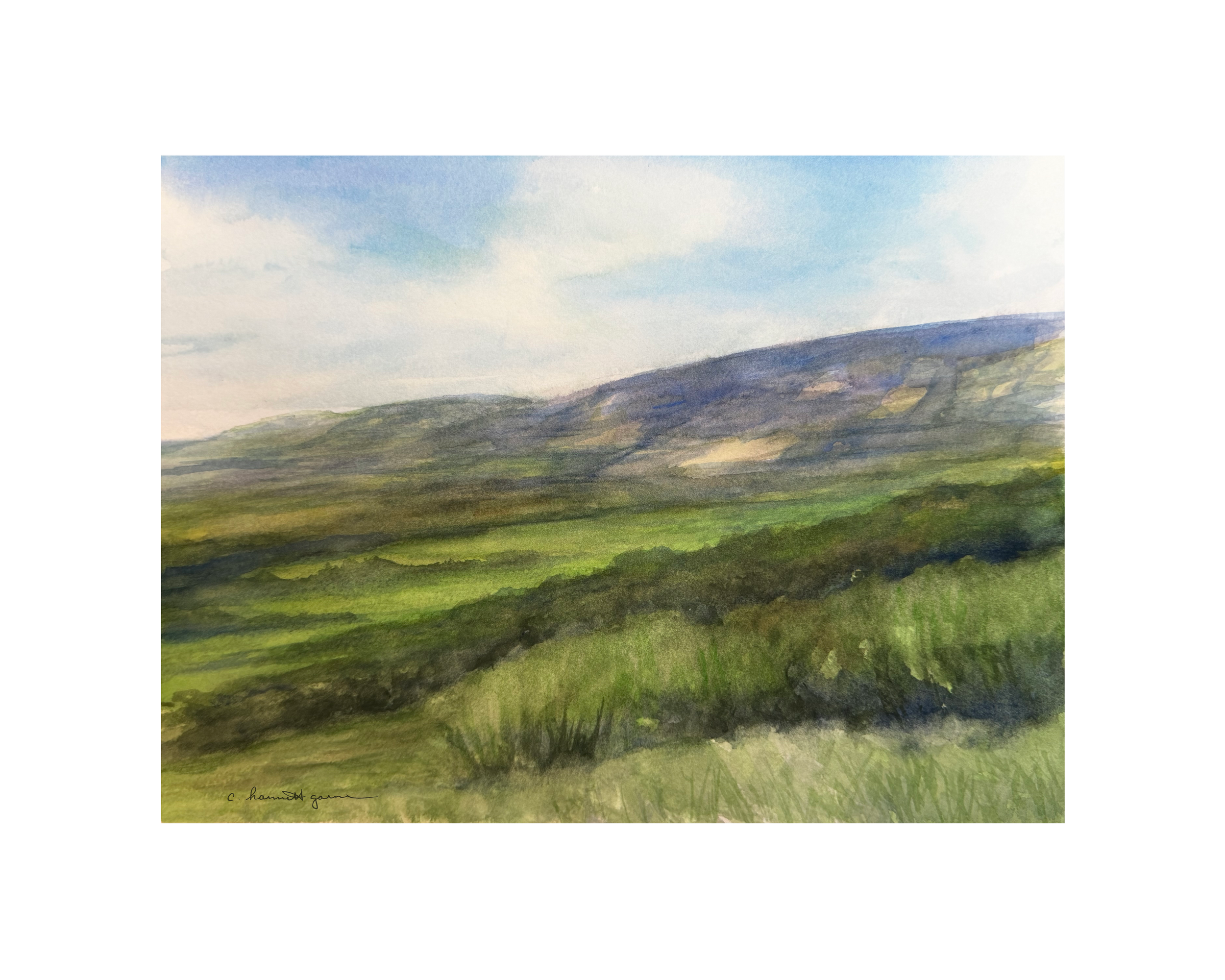 The View from Corkscrew Hill_Main.png