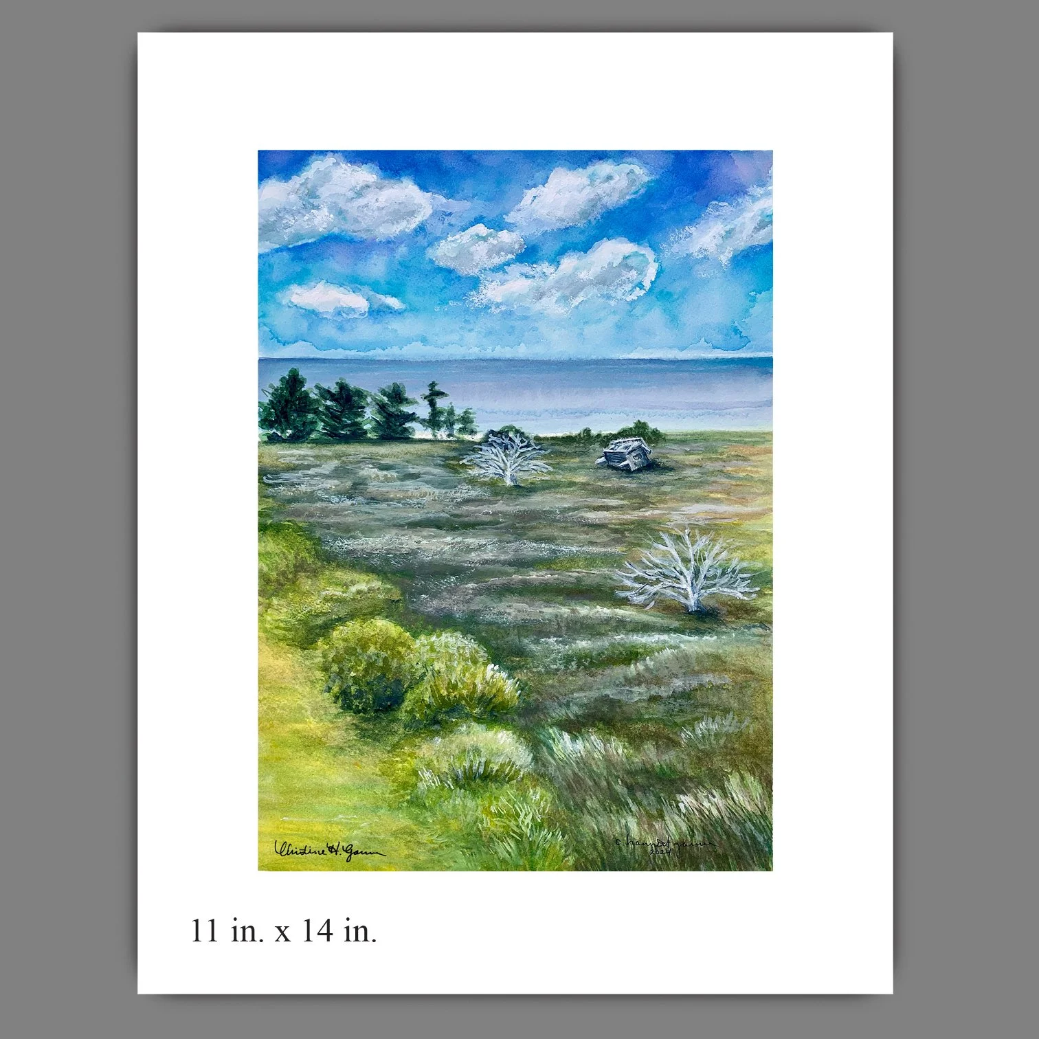 Avon_11x14_for web.jpg