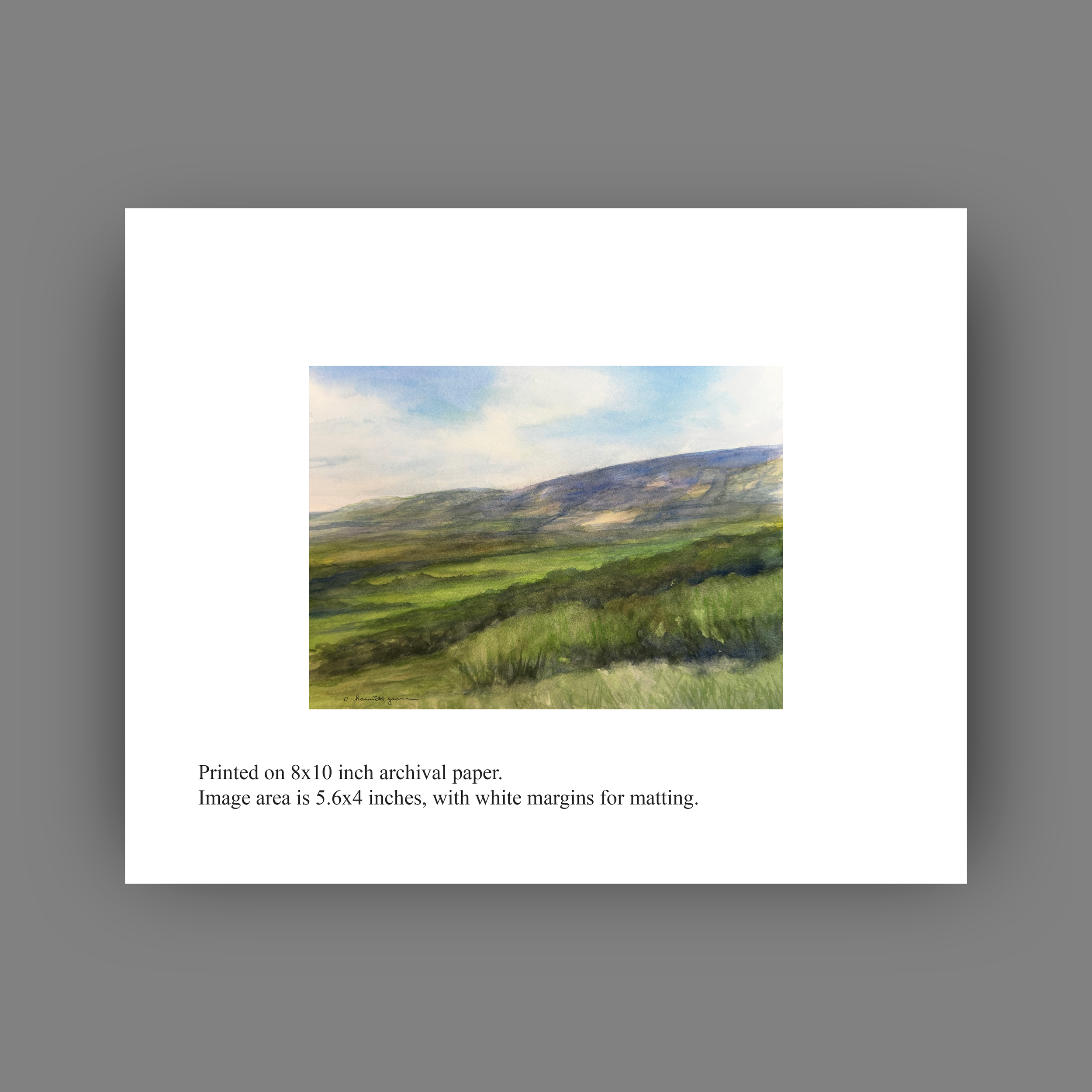 The View from Corkscrew Hill_8x10_for web.png