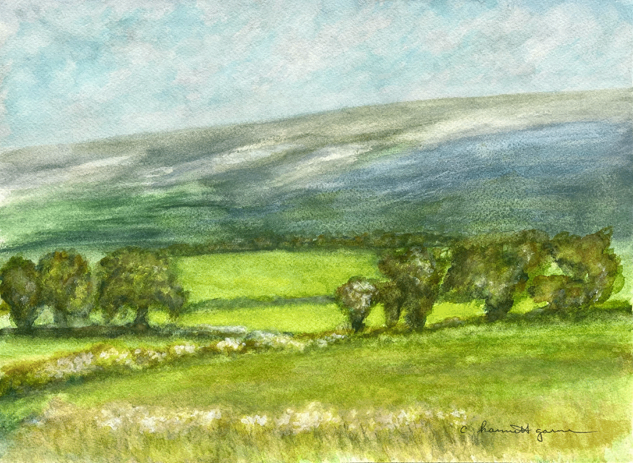 View from Burren College of Art