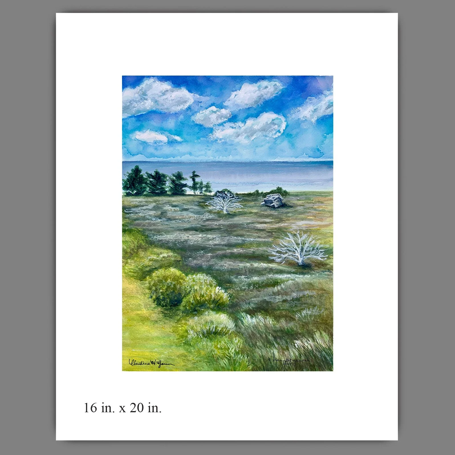 Avon_16x20_for web.jpg