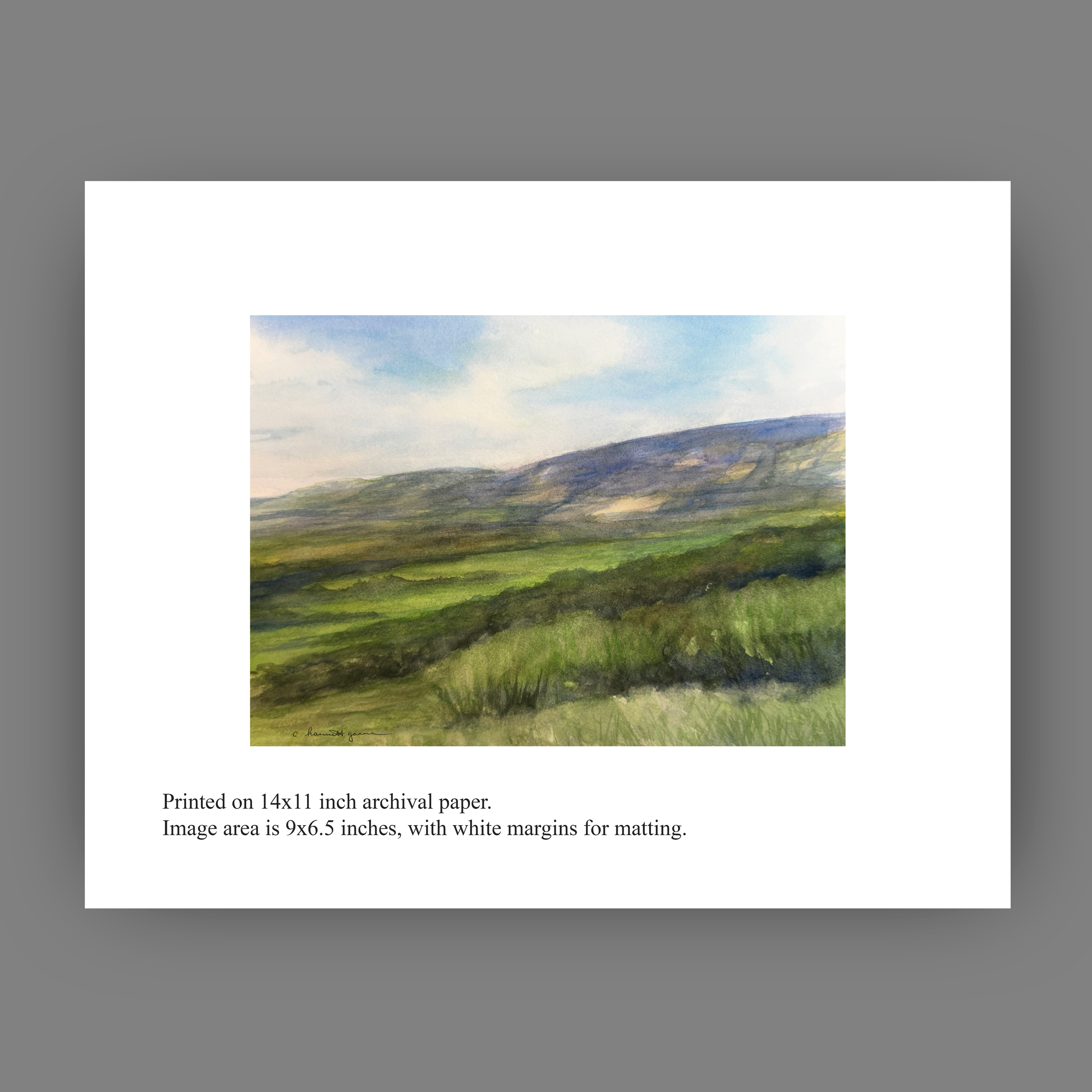 The View from Corkscrew Hill_11x14_for web.png