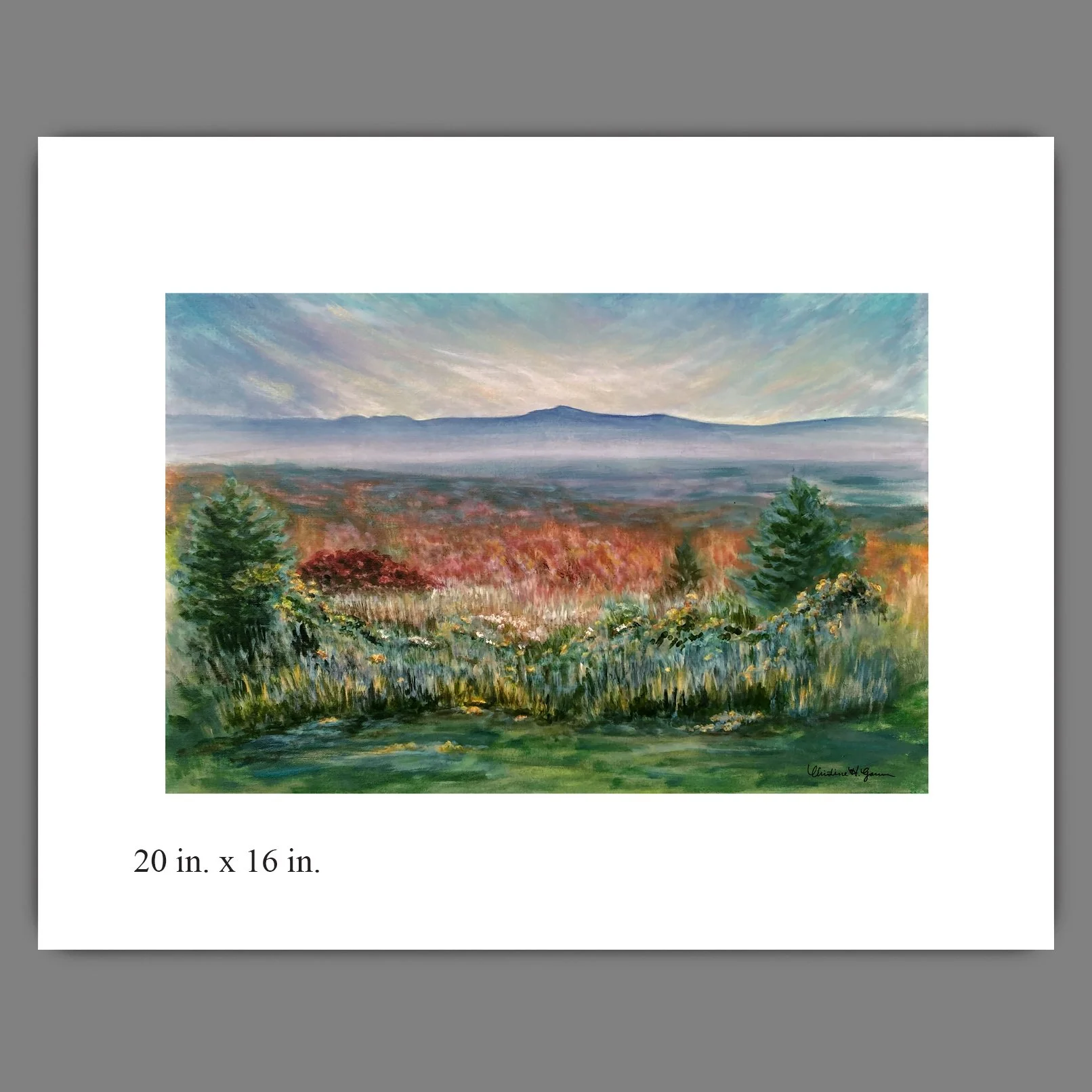 Catskills and Autumn Field_16x20_for web.jpg