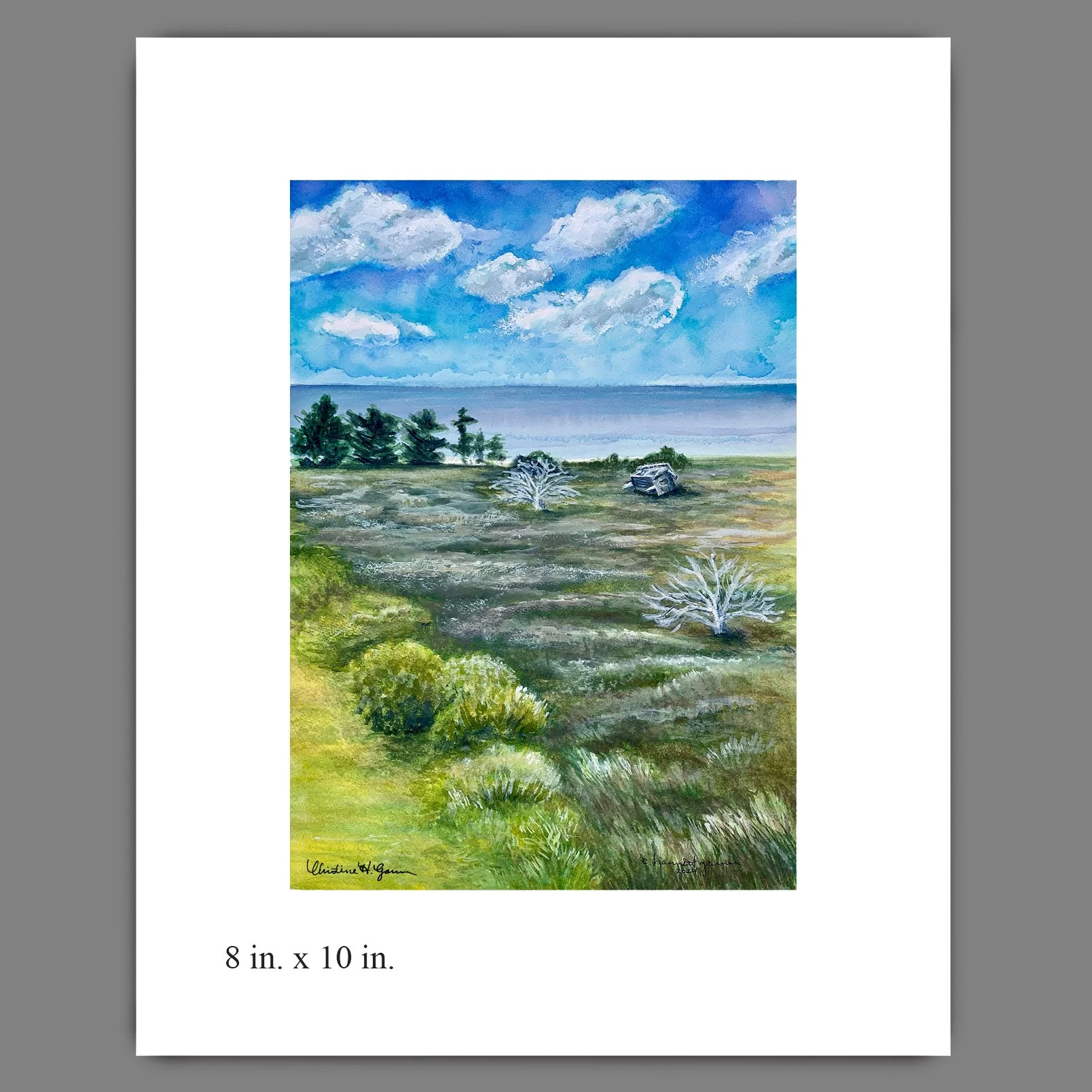 Avon_8x10_for web.jpg