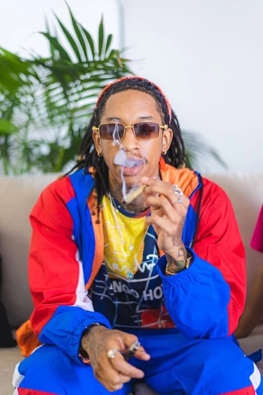 Person wearing a red and blue jacket, with sunglasses and braided hair, smoking indoors, in front of a plant.