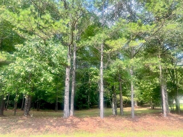 1075 Spring Creek Road, Mathiston Ms 39752
