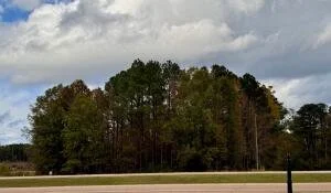 IMG_0390.jpeg